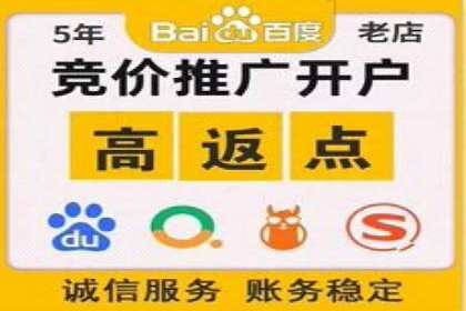 百度竞价与搜索引擎优化（SEO）结合的经典案例